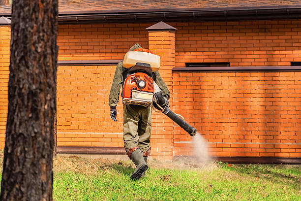 Trusted Termite Control service in Sayre, PA - Nex Pest Control